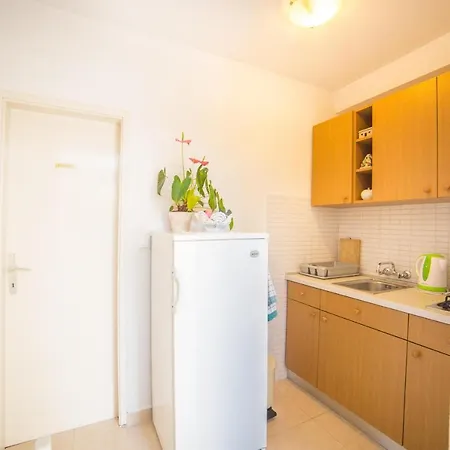 Milica - One Bedroom With Sea View Daire Brela